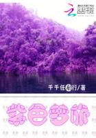 紫色梦旅