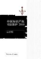 中国知识产权司法保护2010