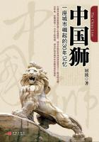 中国狮：一座城市崛起的30年记忆