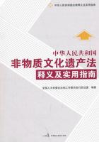 《中华人民共和国非物质文化遗产法》释义及实用指南