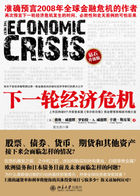 下一轮经济危机：金融危机预测书