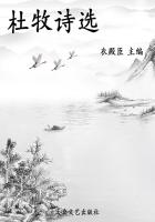 中国历代诗分类集成：杜牧诗选