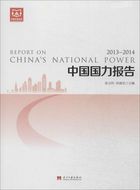 中国国力报告（2013-2014）