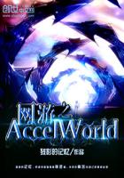 网游之AccelWorld